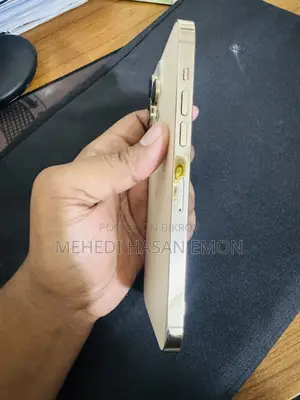 অ্যাপল আইফোন ১৪ প্রো ম্যাক্স ২৫৬ জিবি গোল্ড