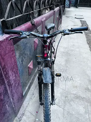 ভেলোসি সাইকেল ৬০২
