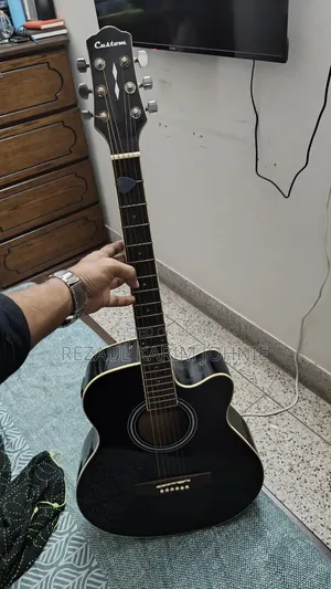 Custom Semi Acoustic Guitar