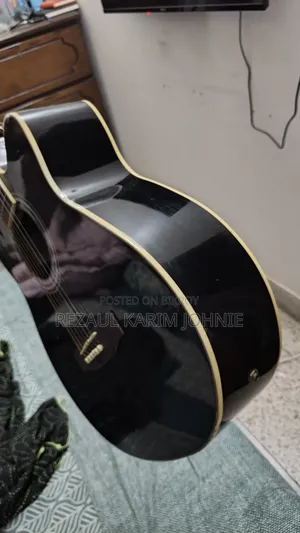 Custom Semi Acoustic Guitar