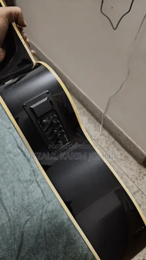 Custom Semi Acoustic Guitar