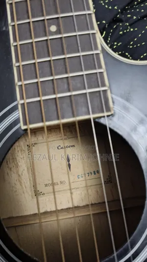 Custom Semi Acoustic Guitar