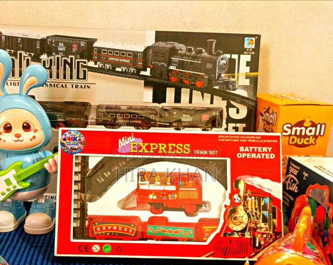 Mini Express Train / Toy Train