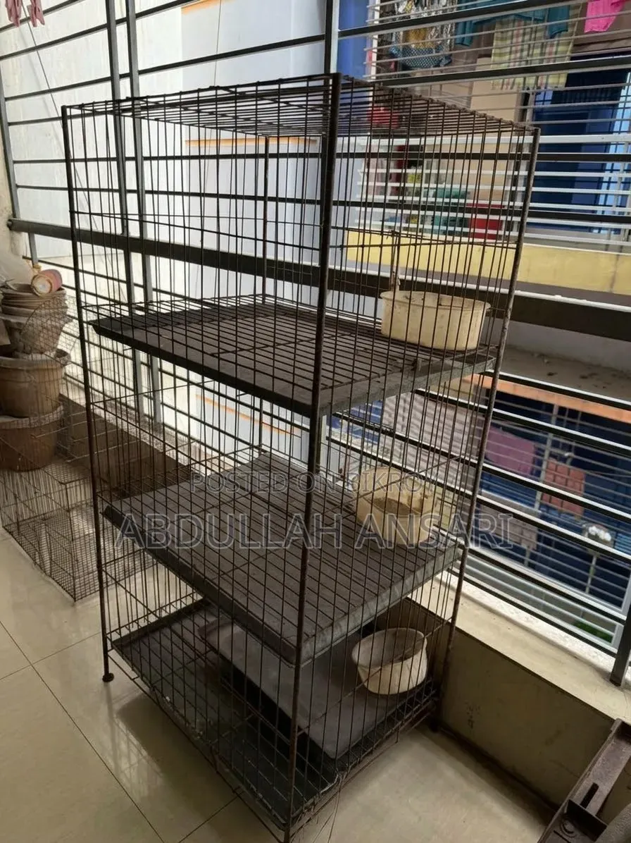 Pigeon Cage