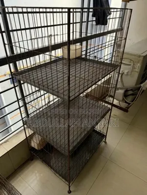 Pigeon Cage