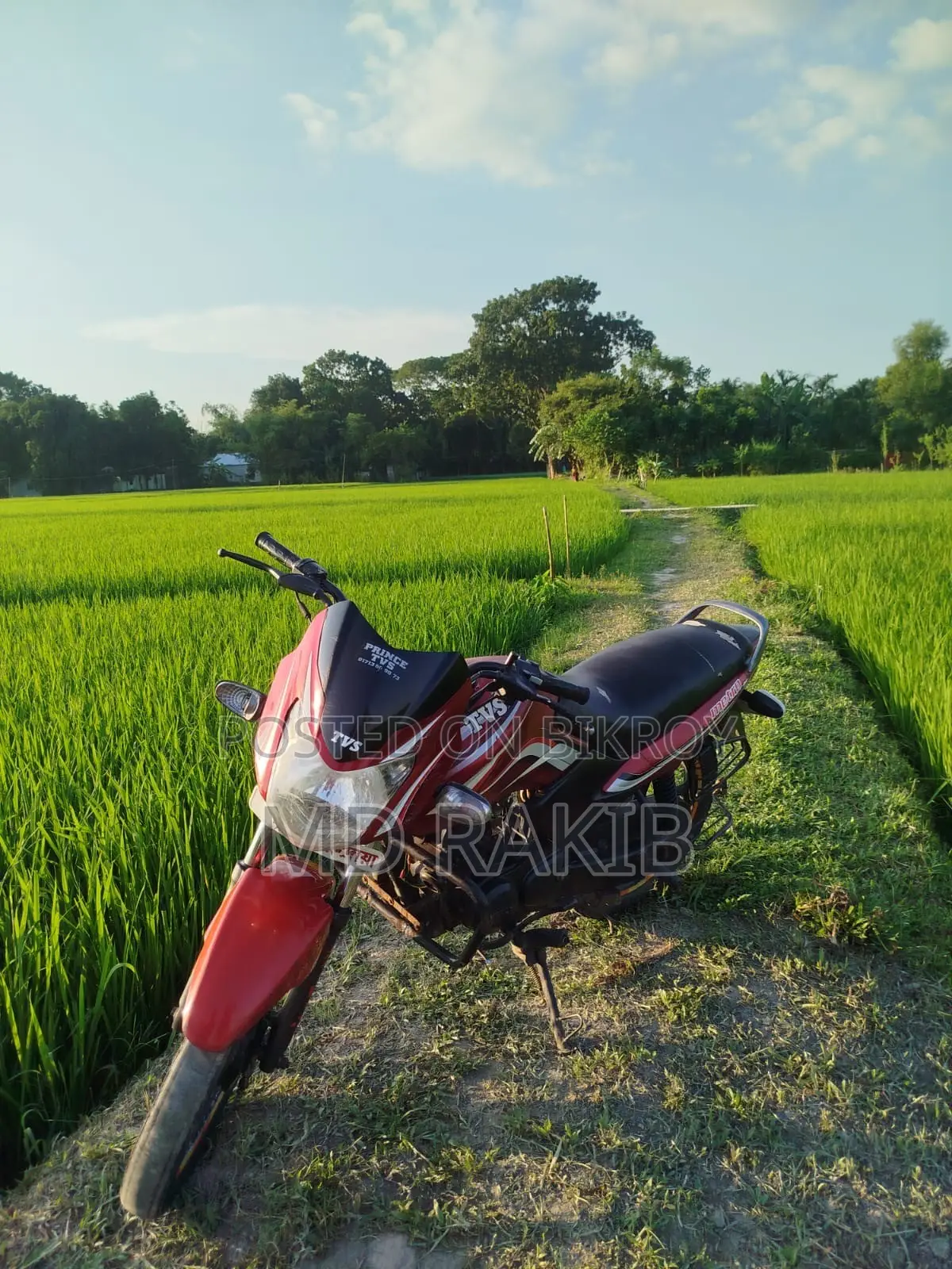 টিভিএস মেট্রো ২০১৭ লাল