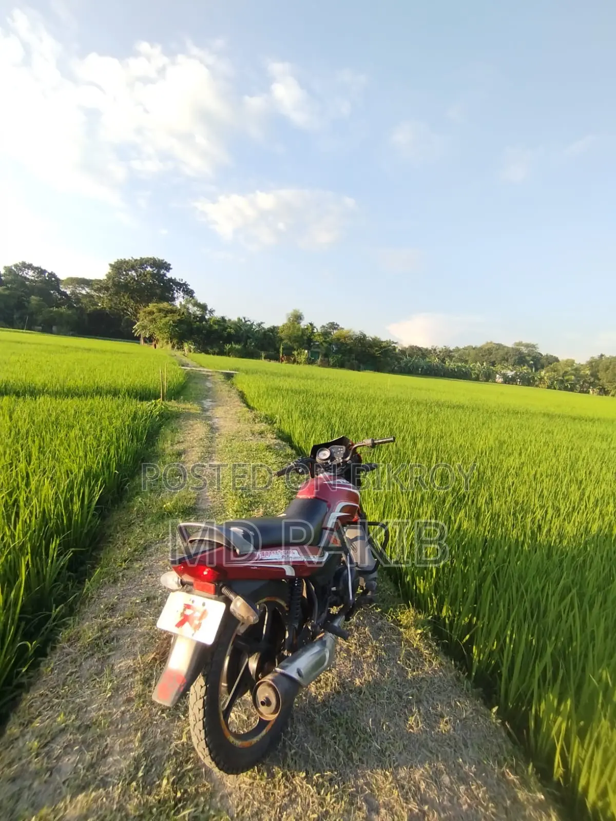 টিভিএস মেট্রো ২০১৭ লাল
