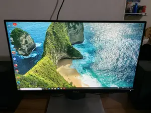 Dell 22 Inch Borderless Monitor