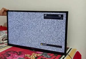 Sony Bravia TV