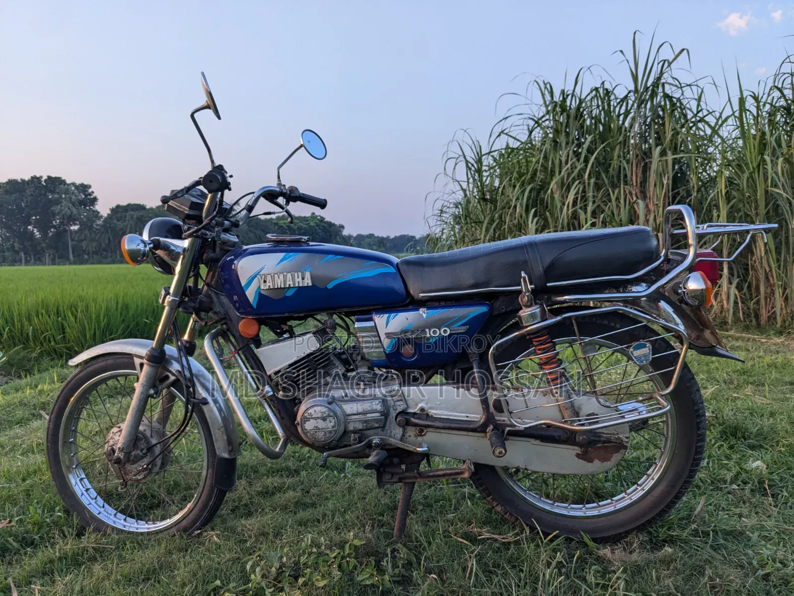 Yamaha 2000 Blue