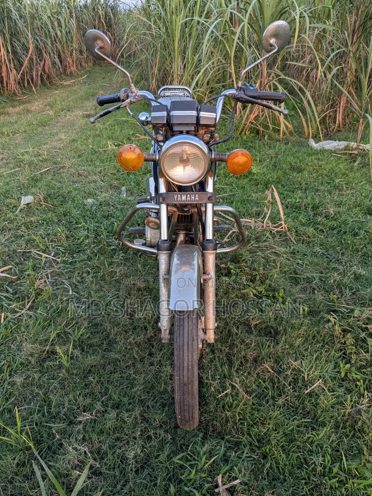 Yamaha 2000 Blue