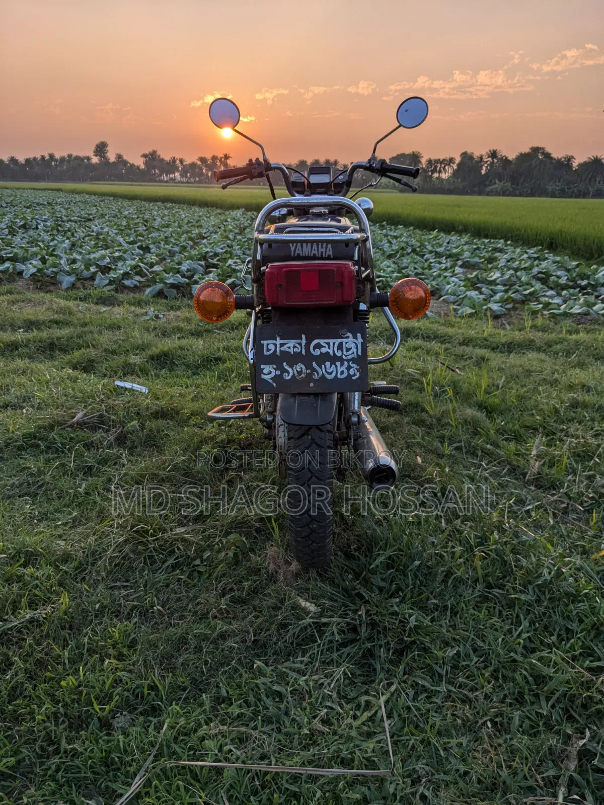 Yamaha 2000 Blue