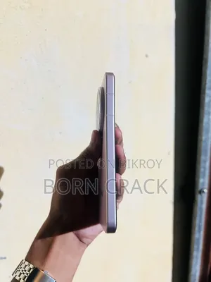 Vivo X200 Pro mini 256 GB White