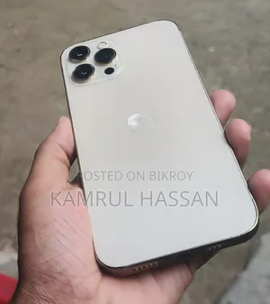 অ্যাপল আইফোন ১২ প্রো ম্যাক্স ২৫৬ জিবি রোজ গোল্ড