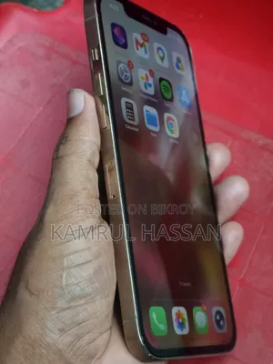অ্যাপল আইফোন ১২ প্রো ম্যাক্স ২৫৬ জিবি রোজ গোল্ড