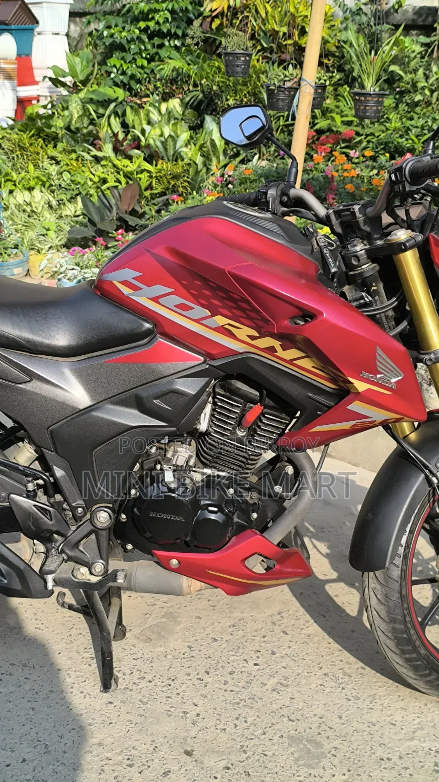 Honda Hornet 2.0 2024 Red