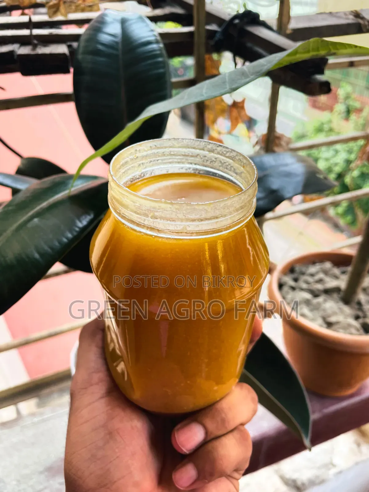 Green Dairy and Agro Food