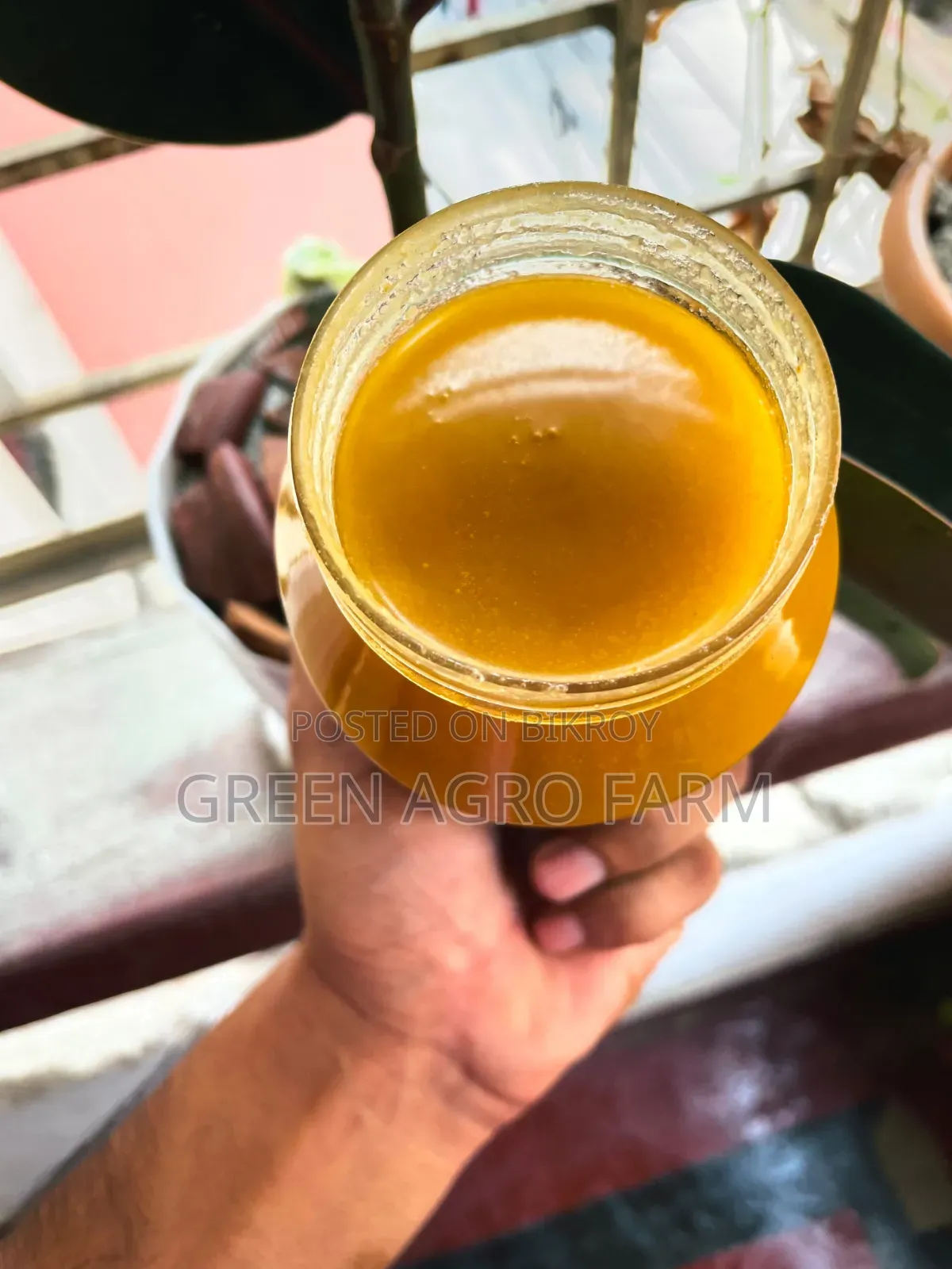 Green Dairy and Agro Food