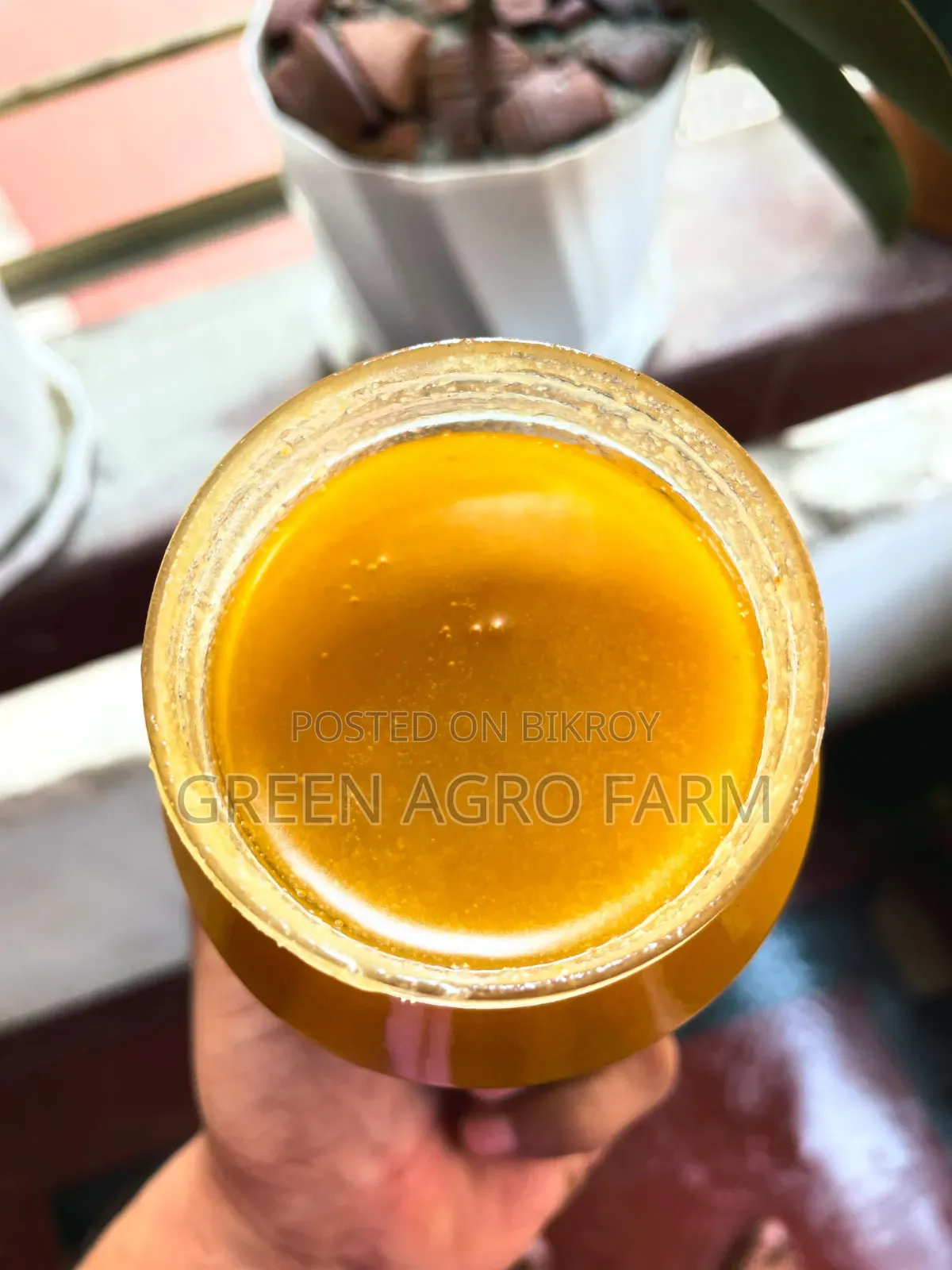 Green Dairy and Agro Food