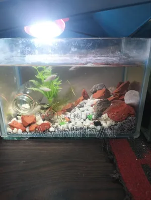 Aquriambest Quality Ful Set Up
