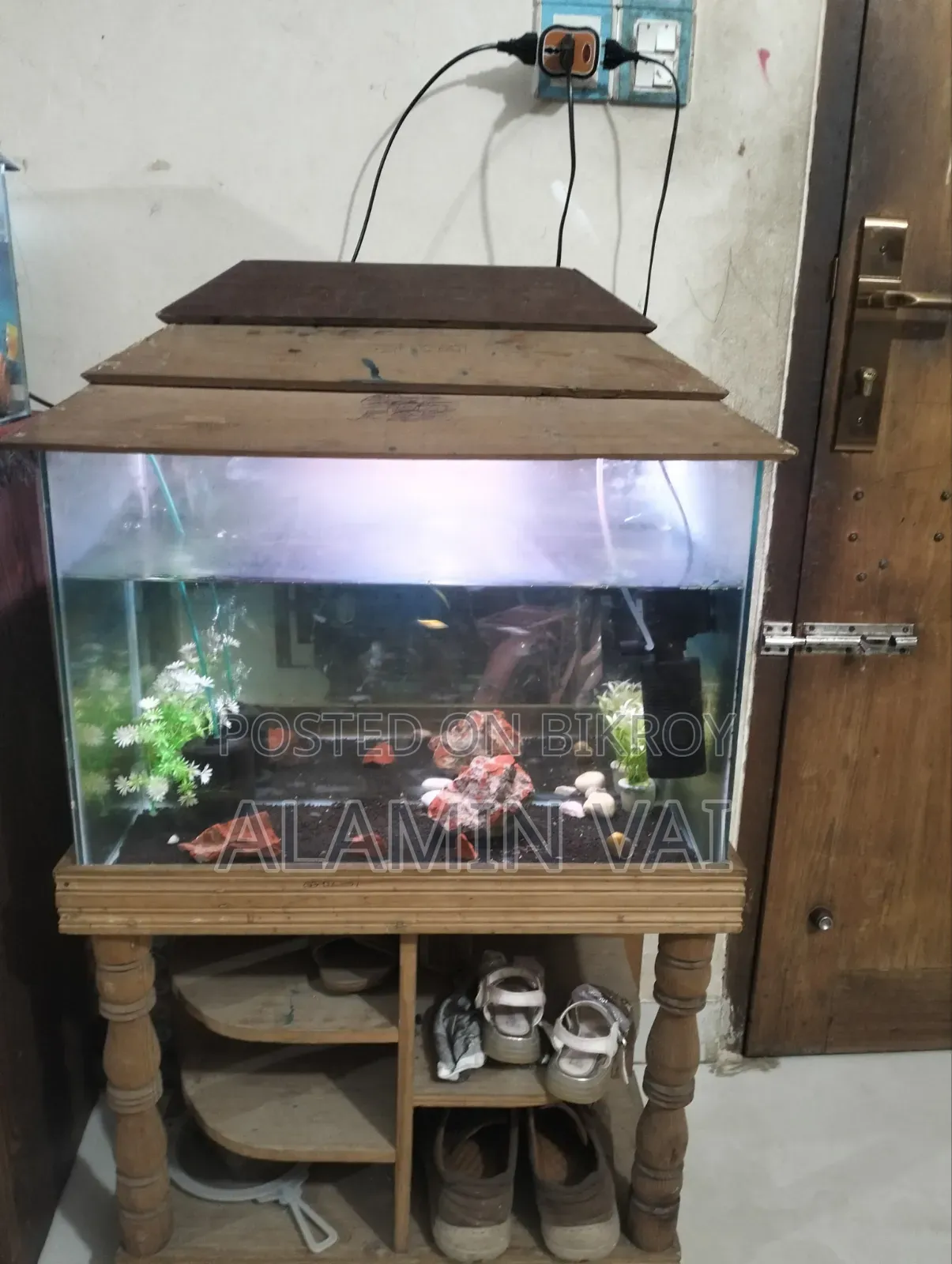 অ্যাকোয়ারিয়াম বিগ কম্বো ফুল সেট আপ