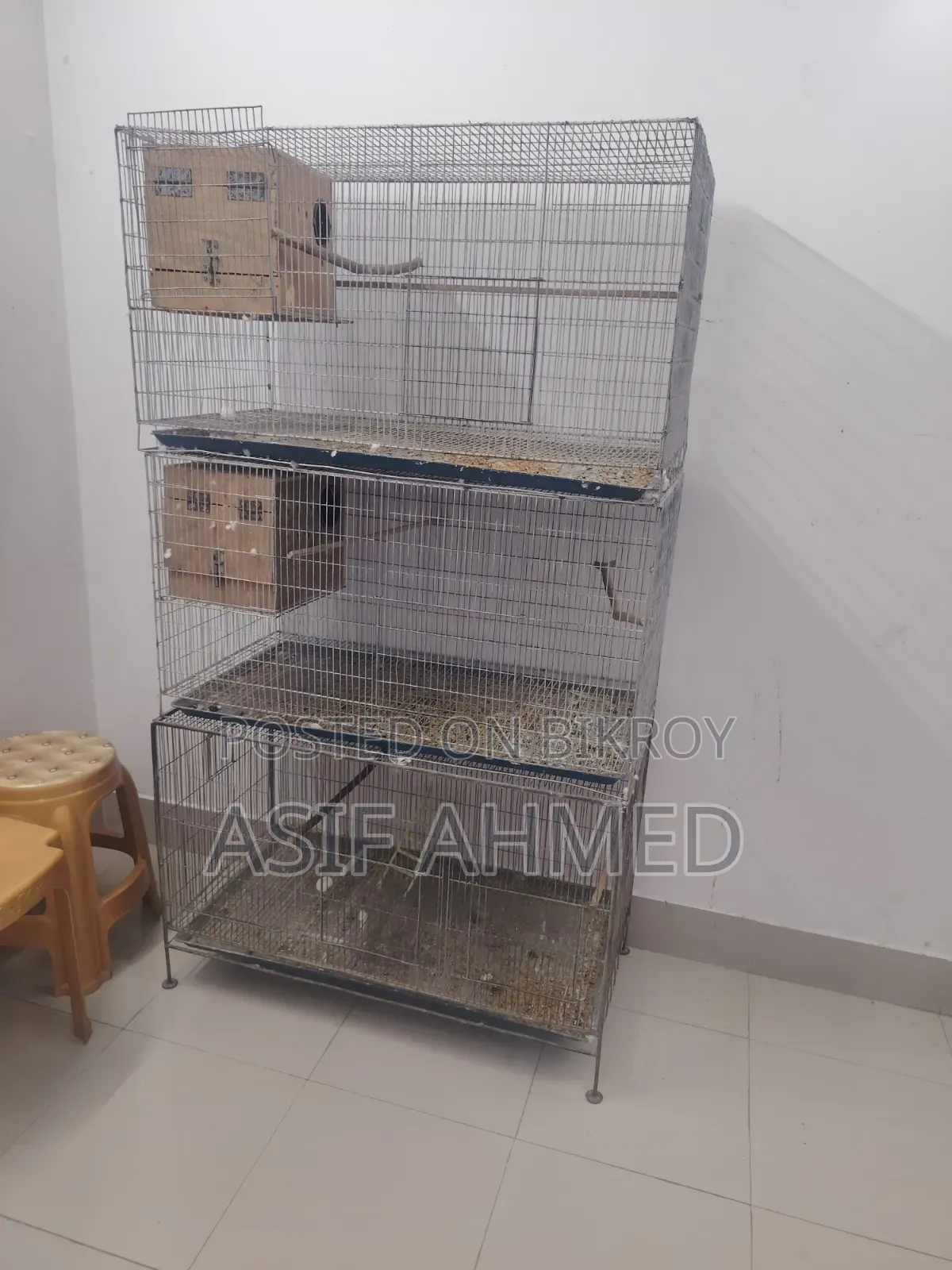 Thick Wire Bird Cage