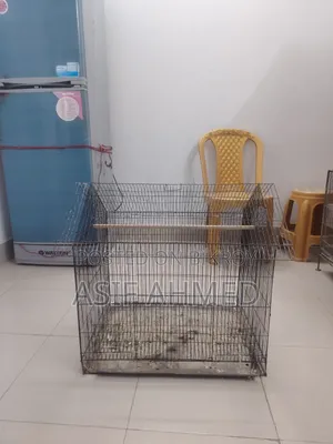 Thick Wire Bird Cage