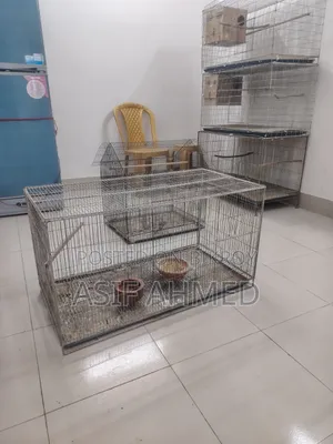 Thick Wire Bird Cage