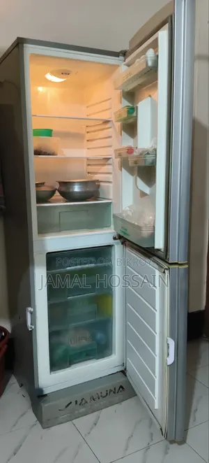 যমুনা ফ্রিজ
