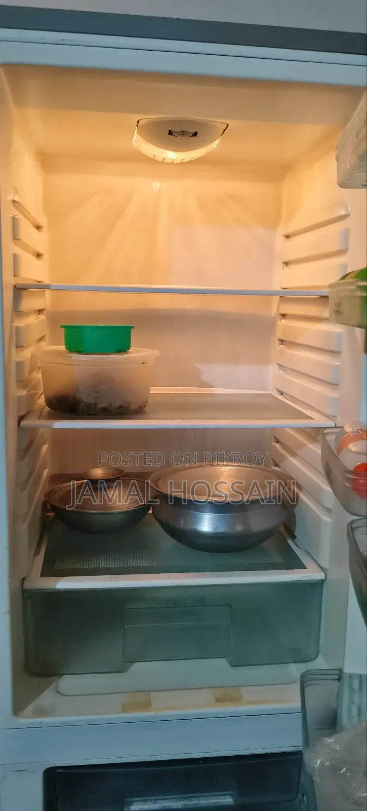 যমুনা ফ্রিজ