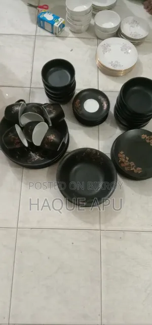 ৪০ পিছের প্যারাগন কোম্পানির ডিনার সেট
