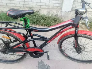 Running Cycle