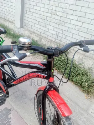 Running Cycle