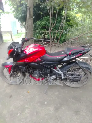 Bajaj Pulsar NS 160 2019 Red