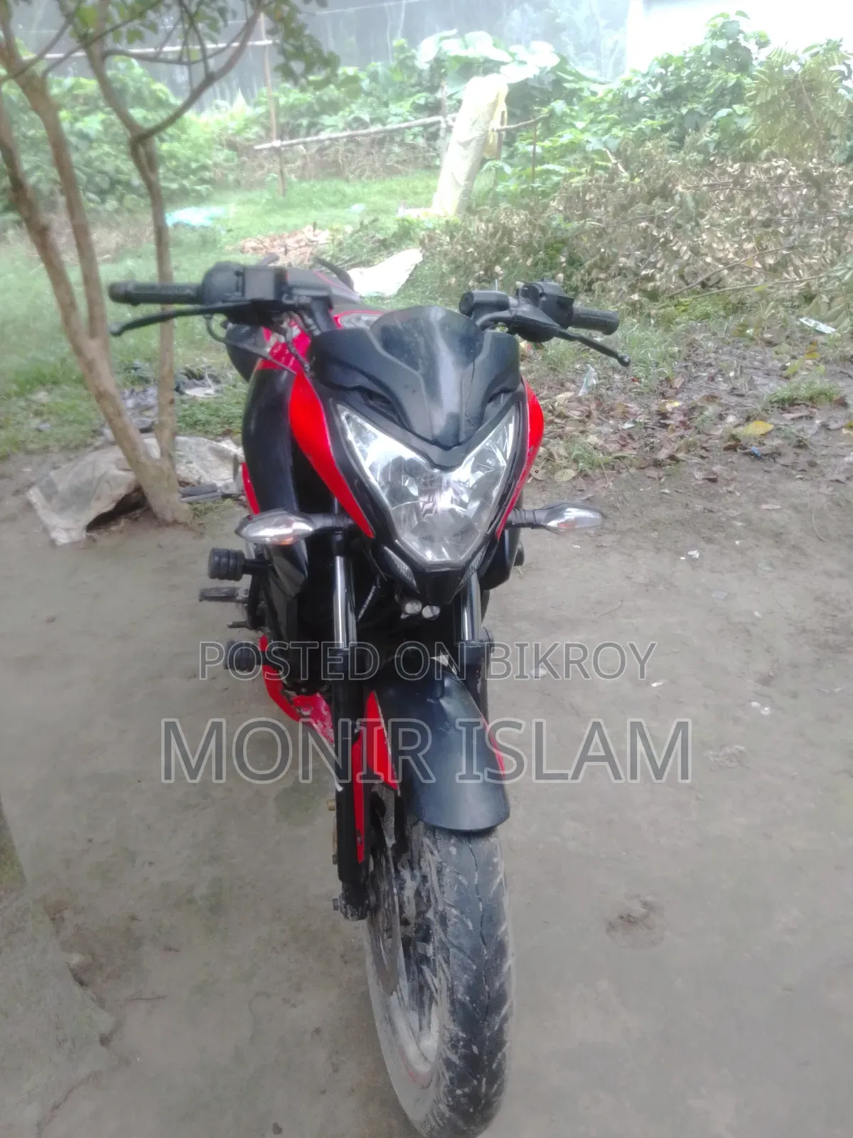 Bajaj Pulsar NS 160 2019 Red