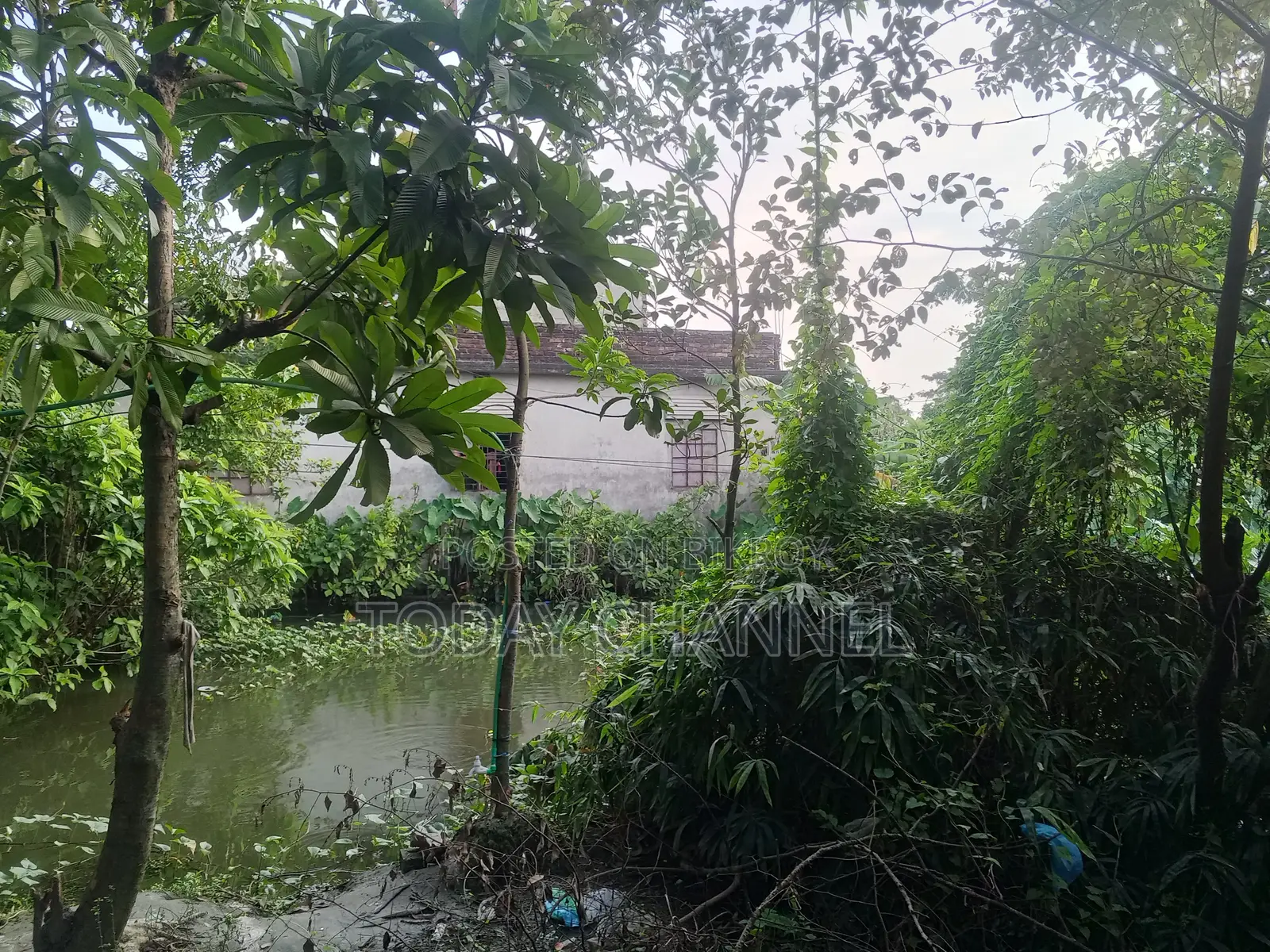 Land and House
