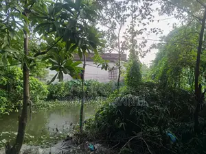 Land and House