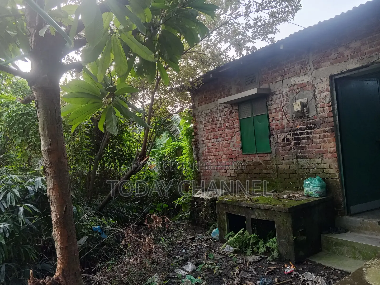 Land and House