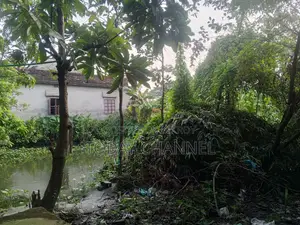 Land and House