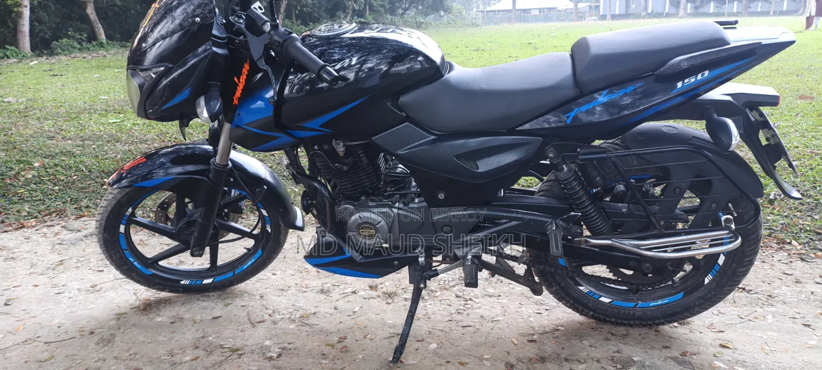 Bajaj Pulsar 2019 Blue