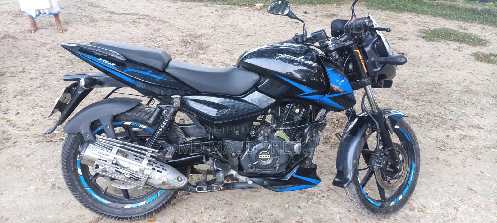 Bajaj Pulsar 2019 Blue