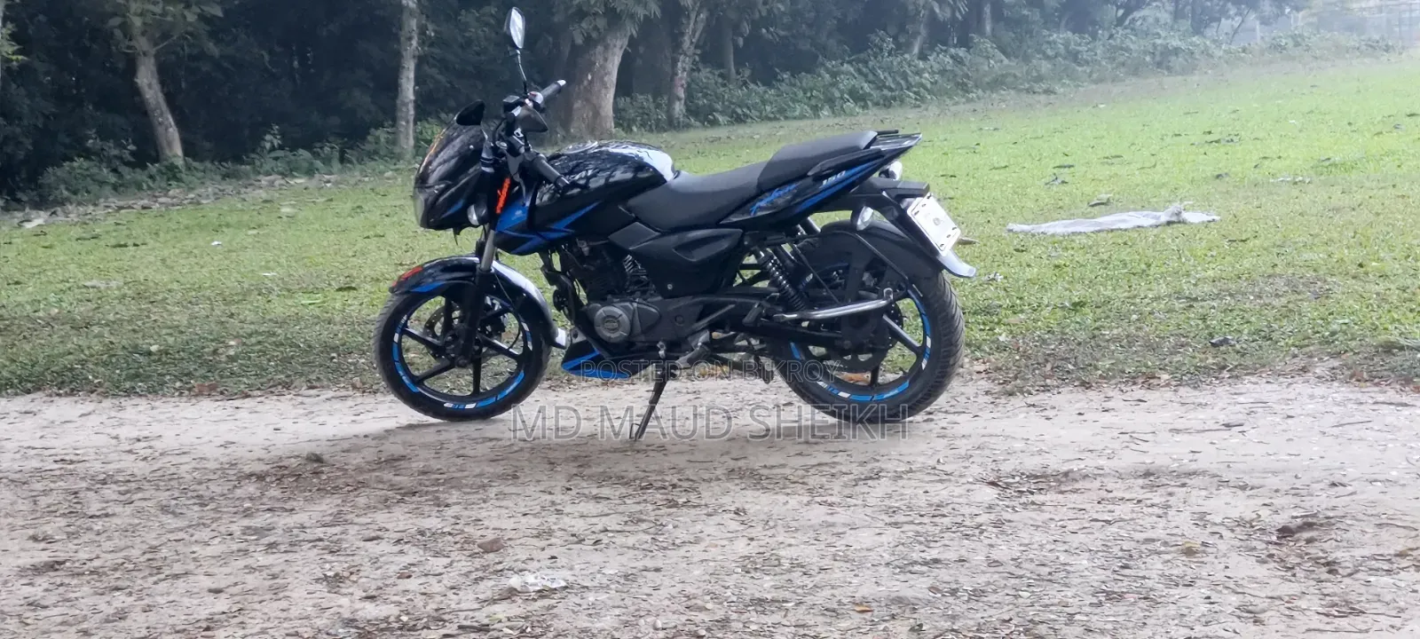 Bajaj Pulsar 2019 Blue