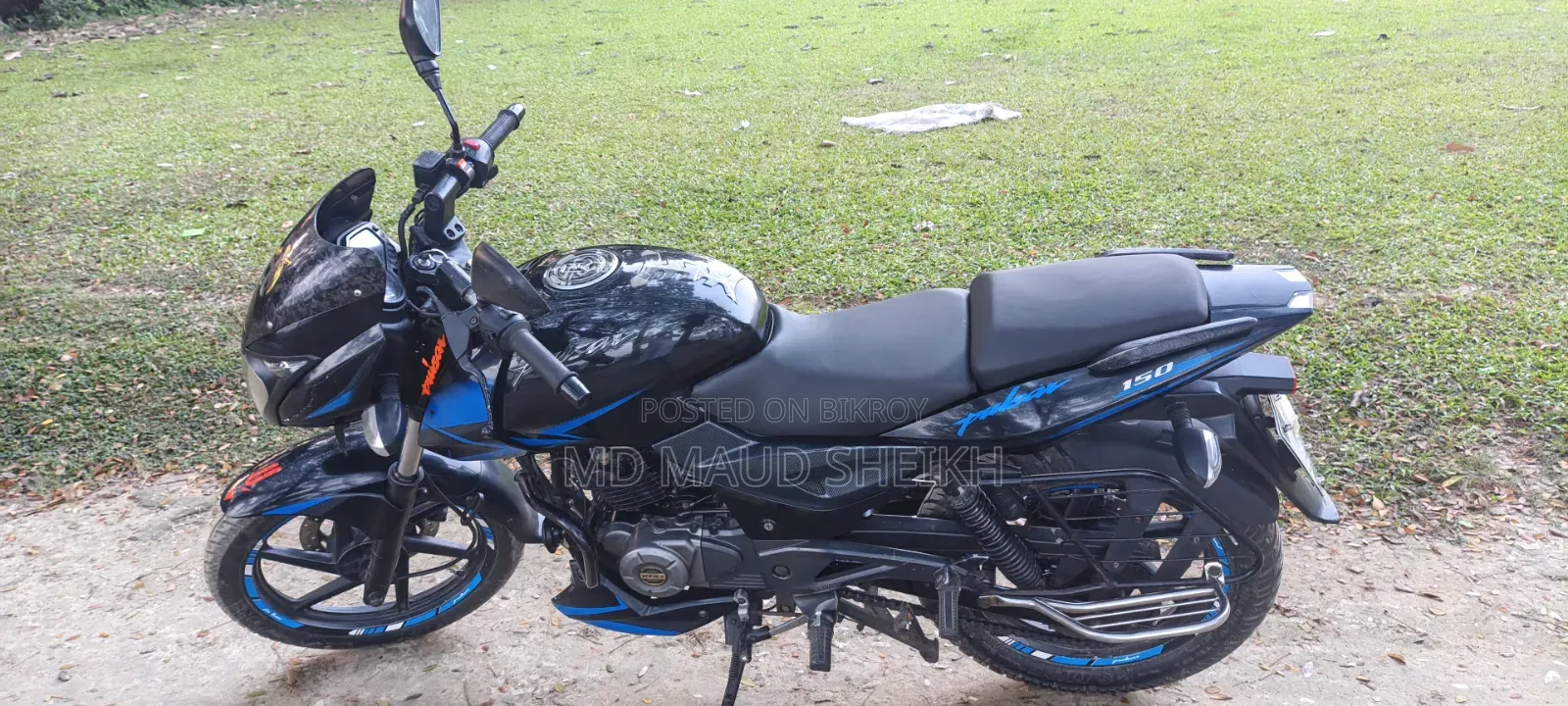 Bajaj Pulsar 2019 Blue