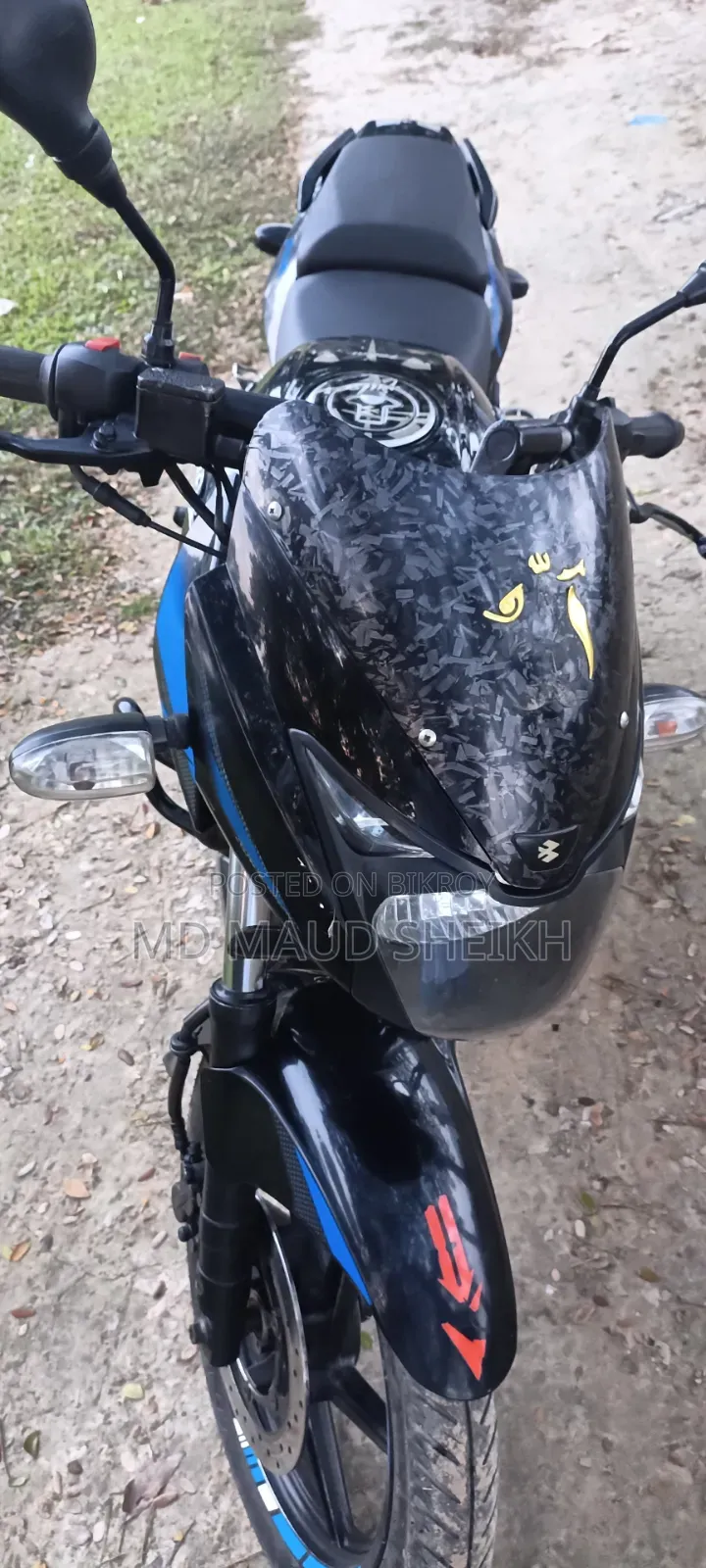 Bajaj Pulsar 2019 Blue