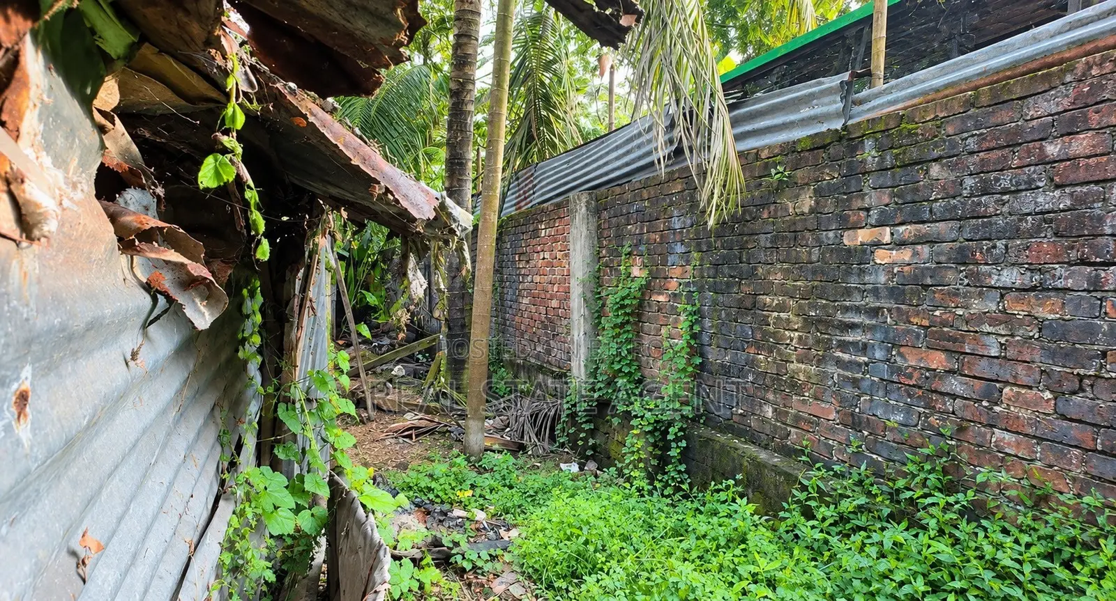 ২ গন্ডা ১ কড়া খালি জায়গা বিক্রি করা হবে। ময়ূরী ক্লাবের আশেপাশে