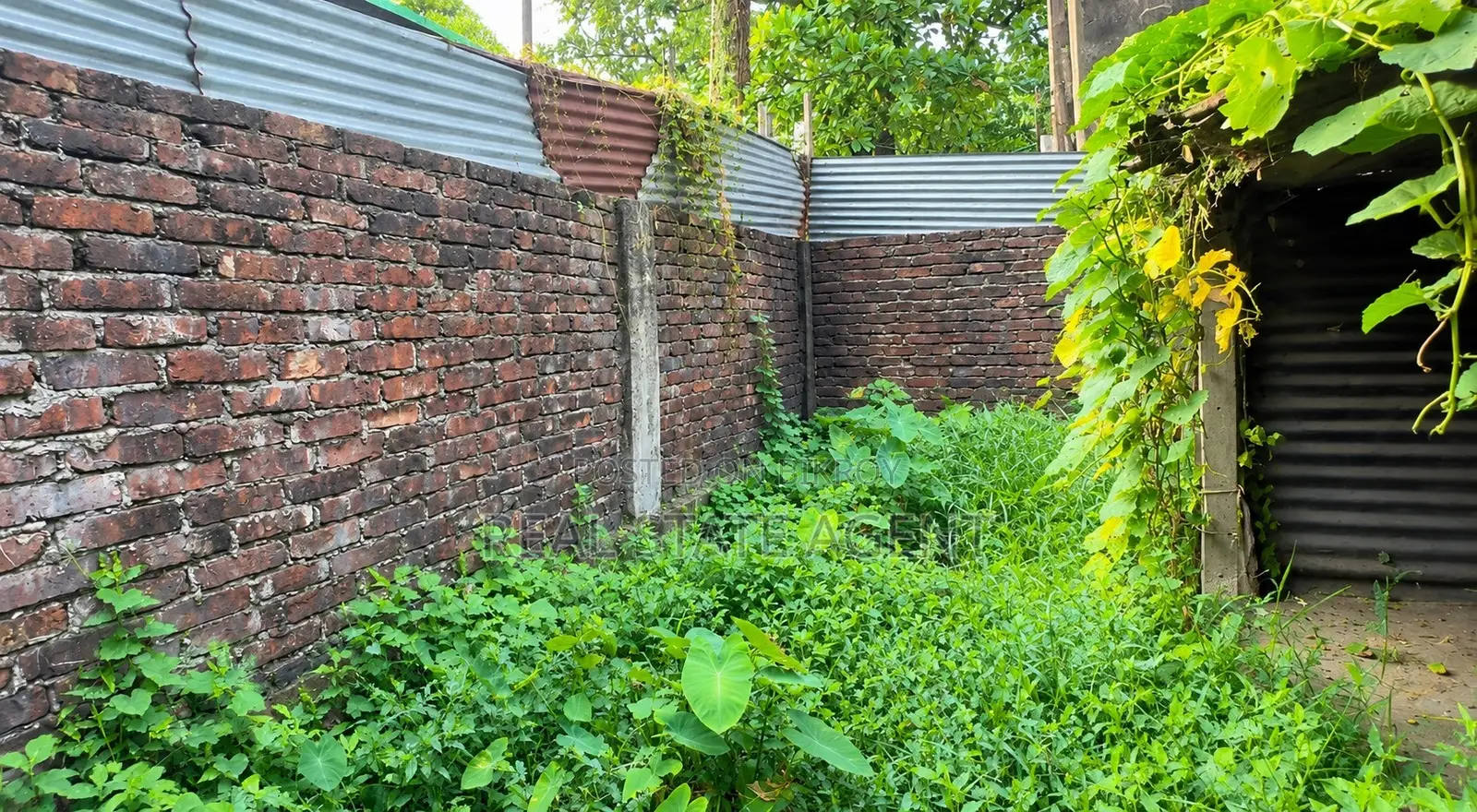 ২ গন্ডা ১ কড়া খালি জায়গা বিক্রি করা হবে। ময়ূরী ক্লাবের আশেপাশে