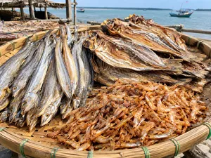 Bashkhali's Fresh Dried Fish