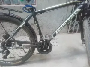 Aolবডি সাইকেল রানিং