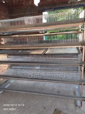 Quail bird cage for sale