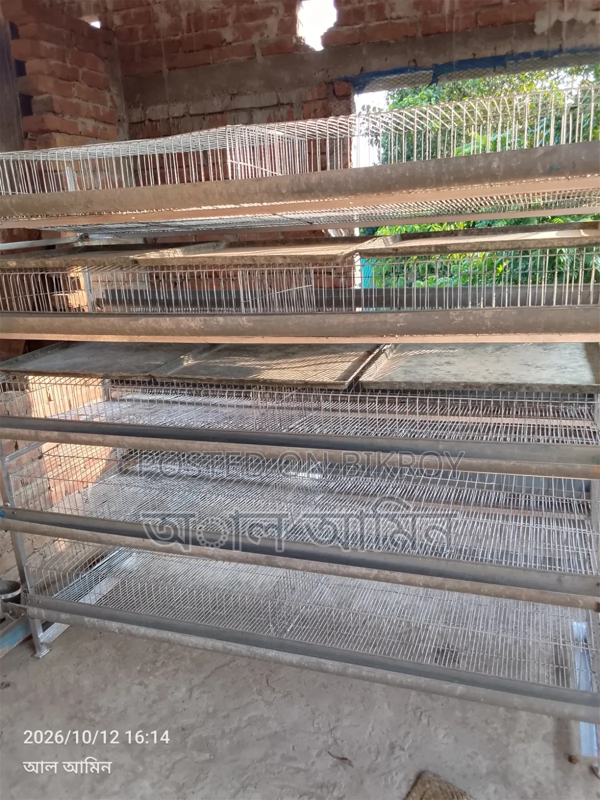 Quail bird cage for sale